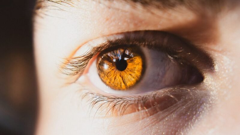 Lutein and Zeaxanthin: A Comprehensive Guide to Benefits, Dosage, and Food Sources
