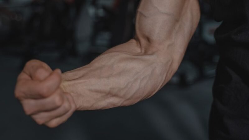 Forearm Vein Visibility: What Training and Genetics Actually Determine