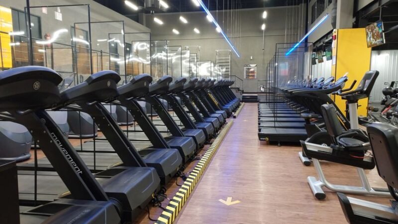 Choosing the Best Treadmill for Home Use: Complete Guide
