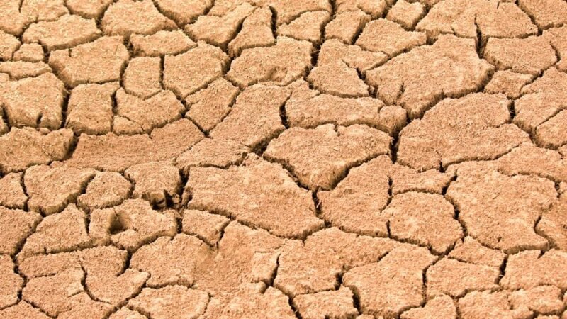 Dehydration Signs and Optimal Hydration Science
