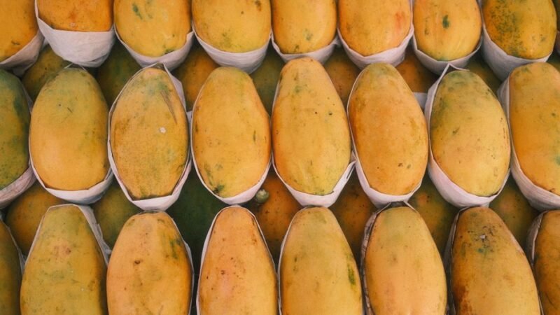 Mango Mania: 6 Delicious Ways to Enjoy the King of Fruits