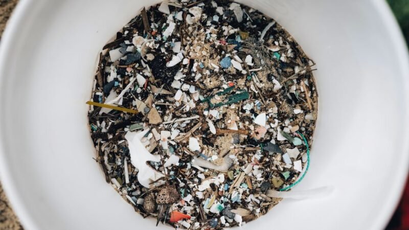 Microplastics in the Body: Research and How to Reduce Exposure