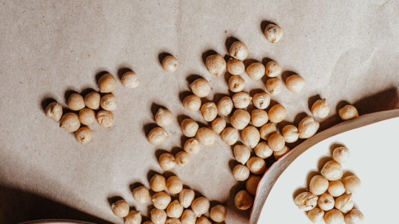 10 High-Protein Meal Prep Recipes for the Entire Week