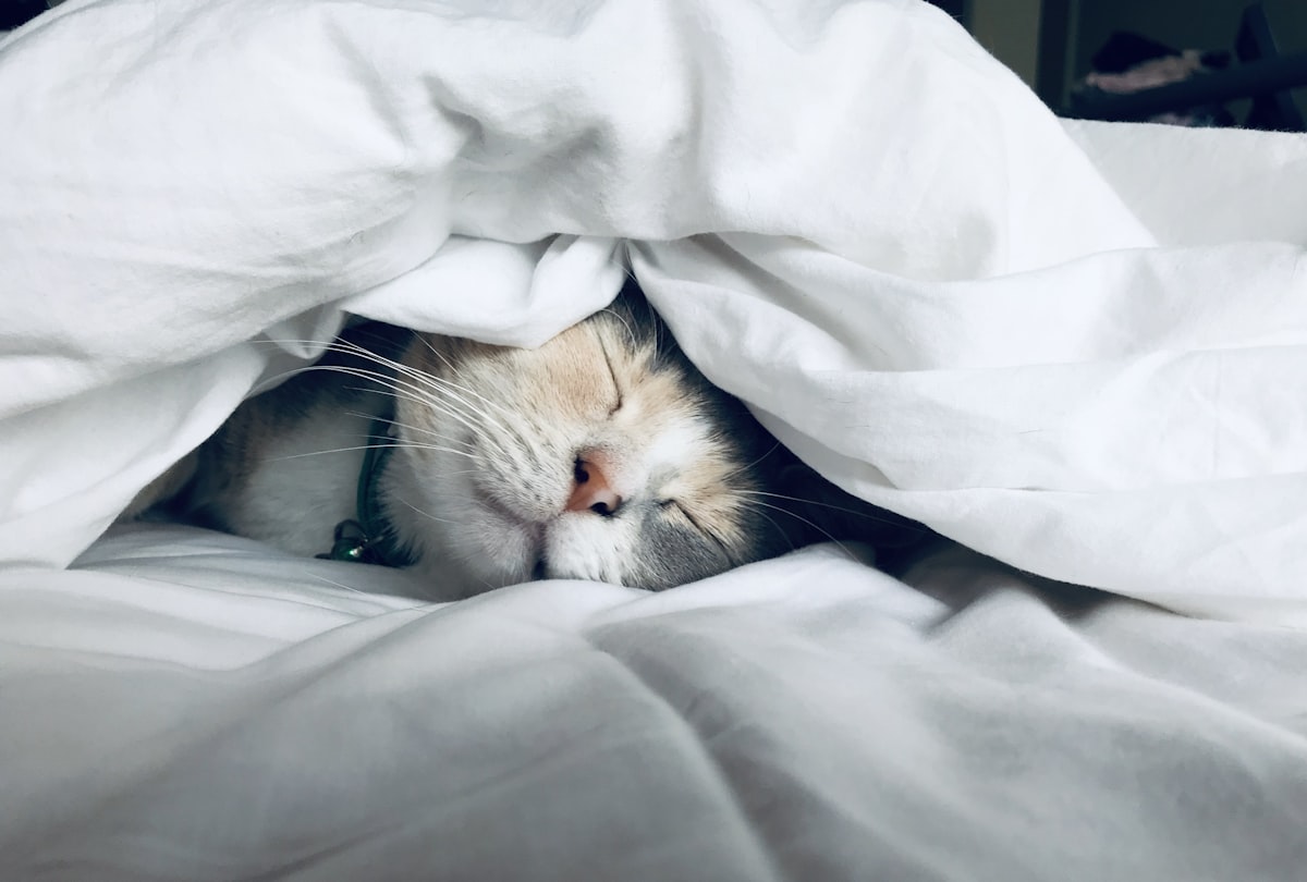 How to Sleep Better at Night: 15 Science-Backed Tips for Deep, Restorative Sleep
