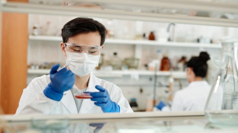 How Long Does Ashwagandha Take to Work? Week-by-Week Timeline