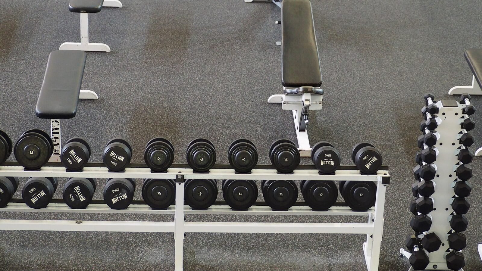 Sarcopenia: How to Prevent Muscle Loss as You Age